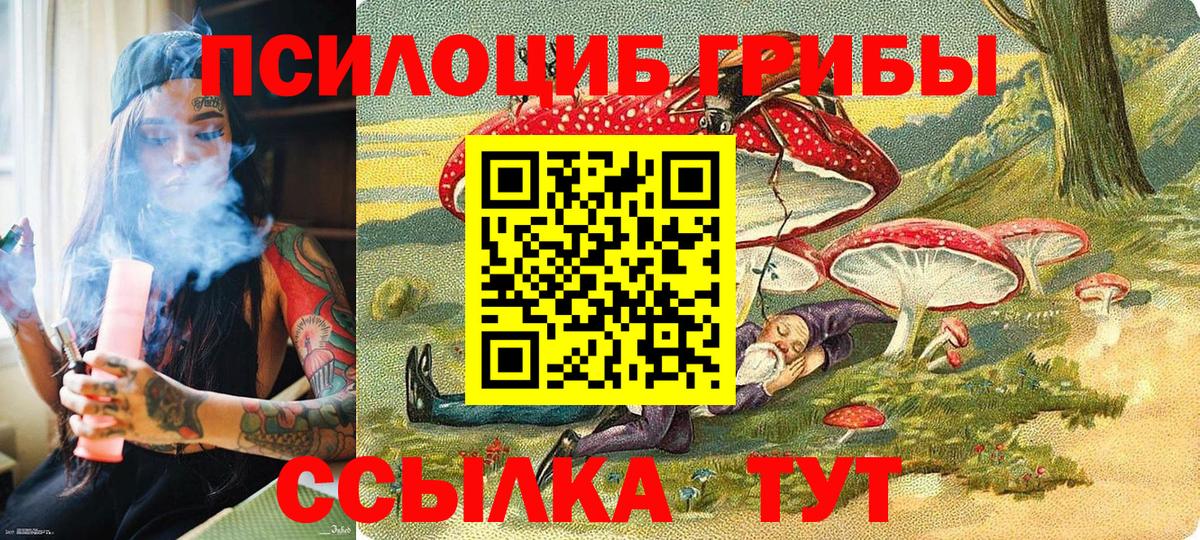 Нижний Тагил  Галлюциногенные грибы MAGIC MUSHROOMS  Вход с VPN 
