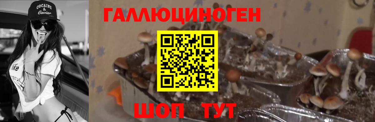 Галлюциногенные грибы MAGIC MUSHROOMS Нижний Тагил